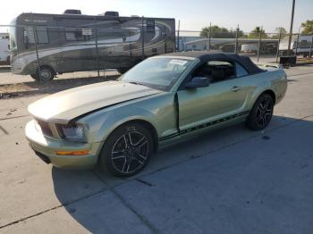  Salvage Ford Mustang