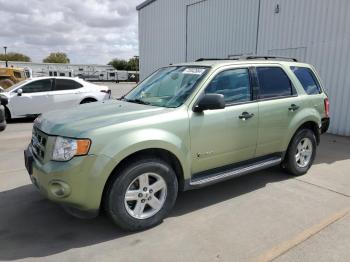  Salvage Ford Escape