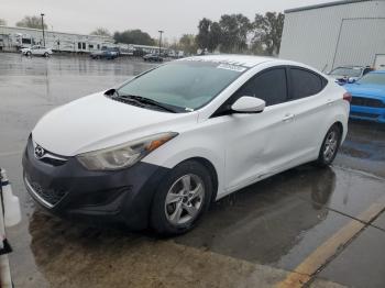  Salvage Hyundai ELANTRA