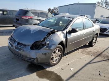  Salvage Dodge Neon