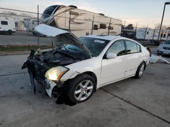  Salvage Nissan Maxima