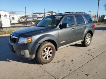  Salvage Mazda Tribute