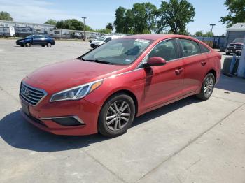  Salvage Hyundai SONATA