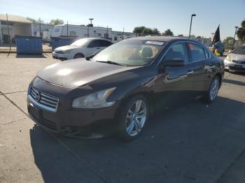  Salvage Nissan Maxima