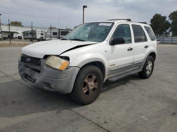  Salvage Ford Escape