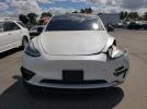 Tesla Model Y Image 3
