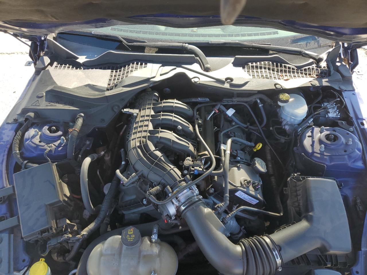 Ford Mustang Image 10