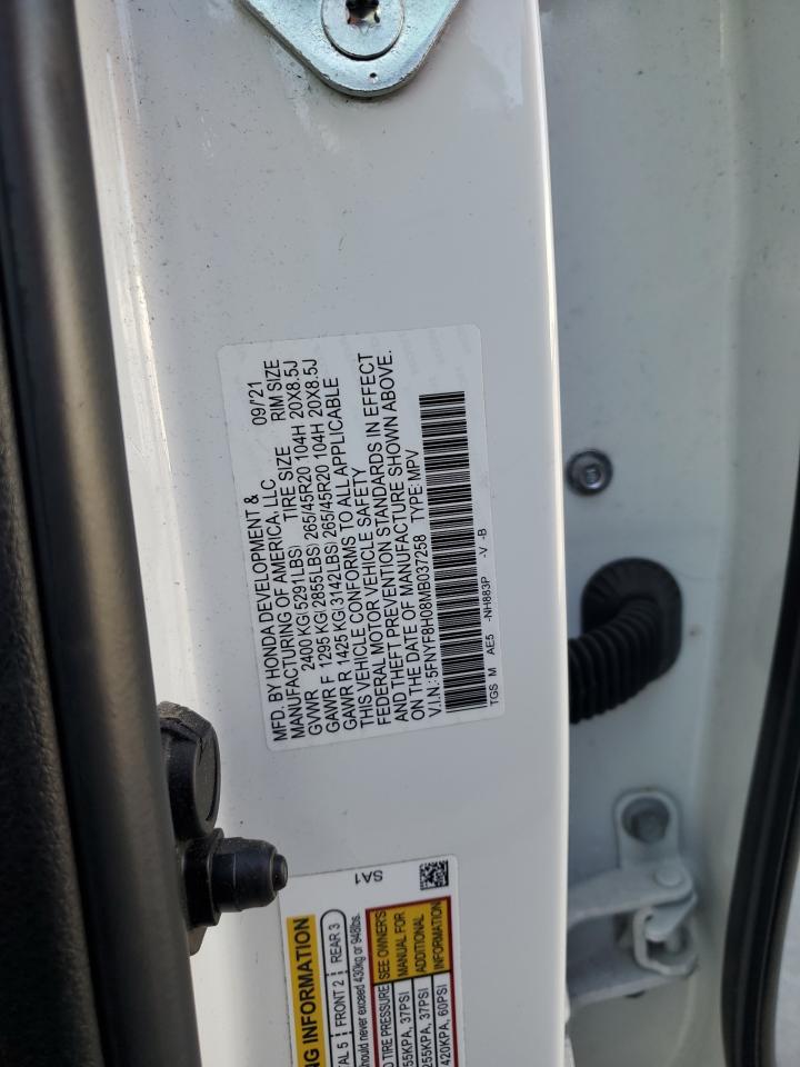 Honda Passport Elite Image 8