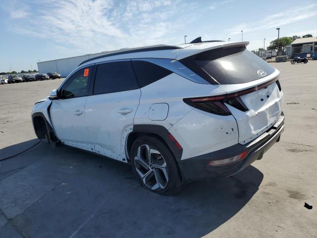 Hyundai TUCSON Limited Image 11