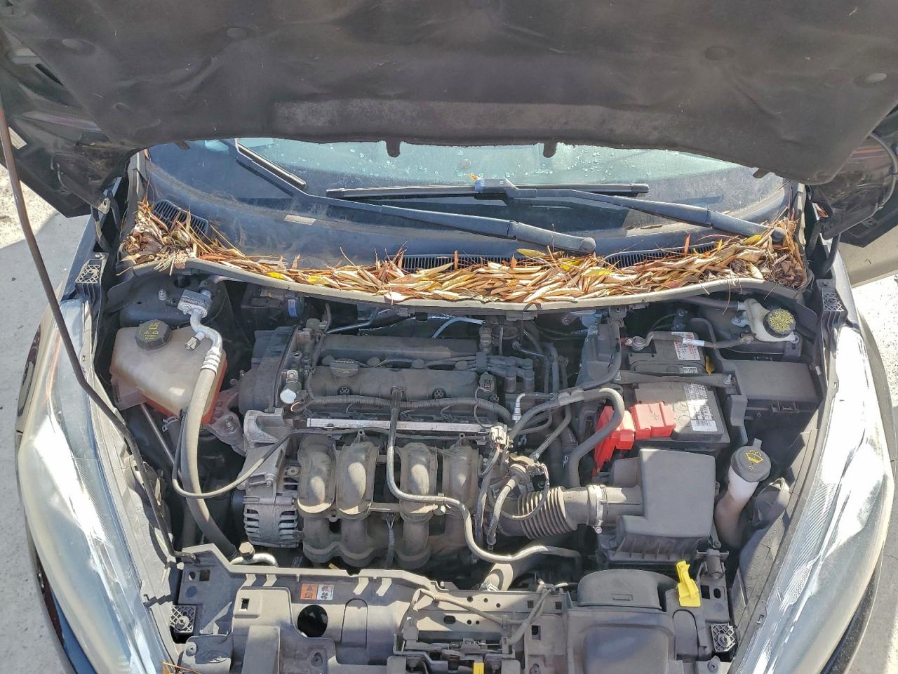 Ford Fiesta S Image 5