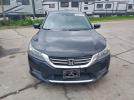 Honda Accord Exl Image 6