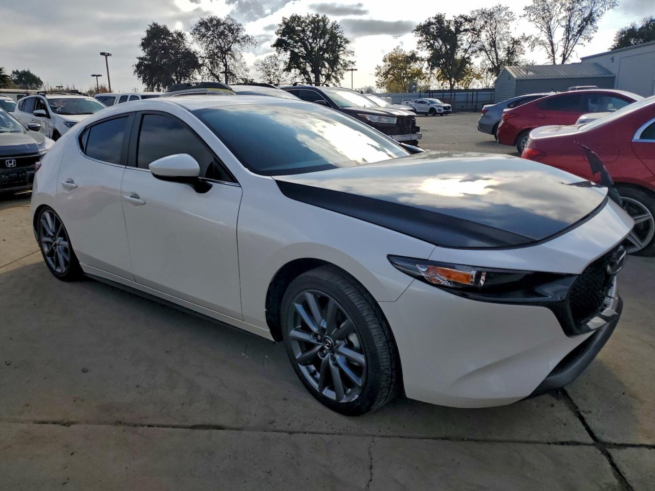 Mazda 3 Preferred Image 12