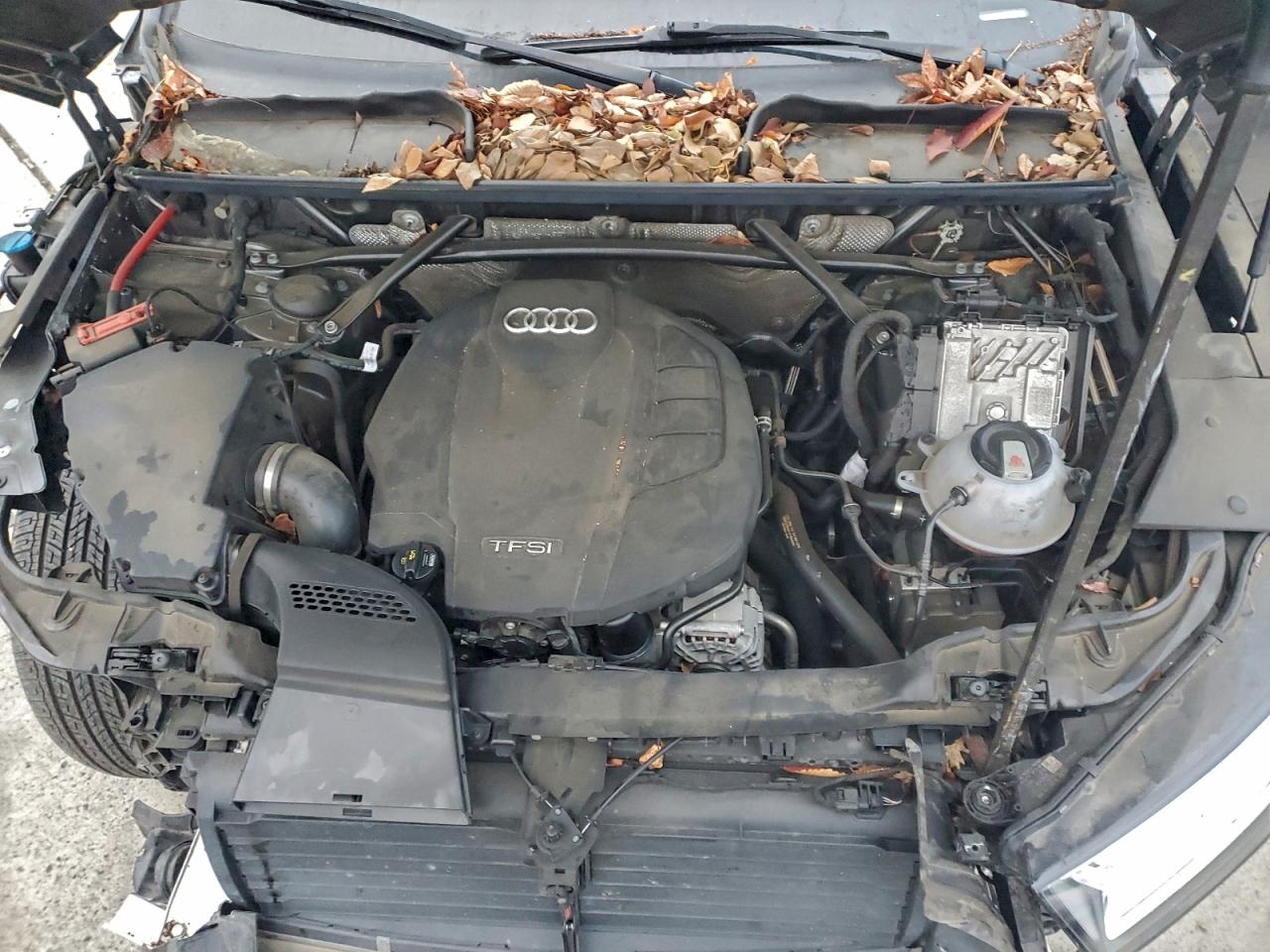 Audi Q5 Prestige Image 5