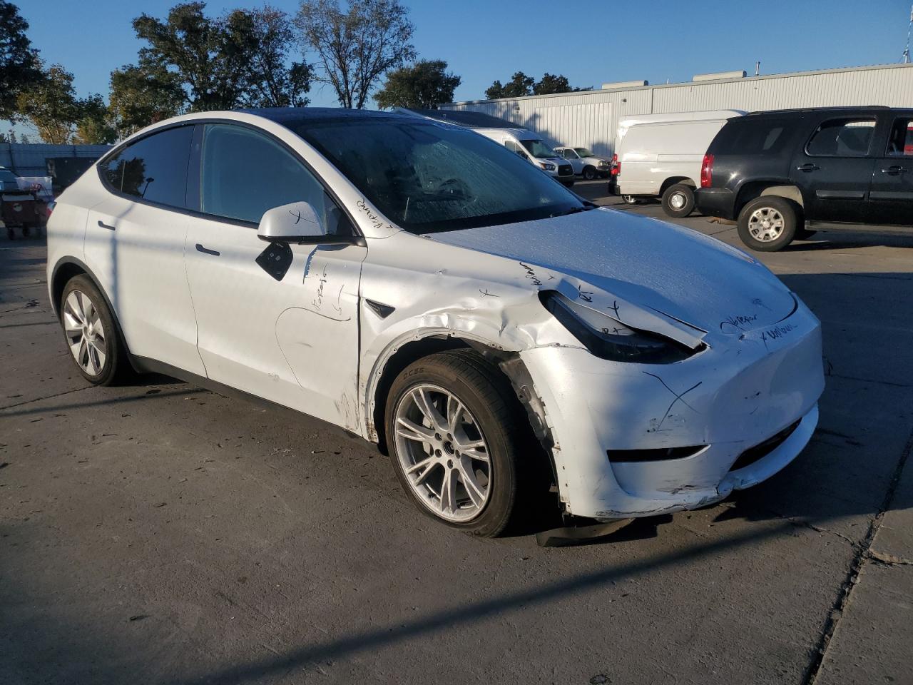 Tesla Model Y Image 5