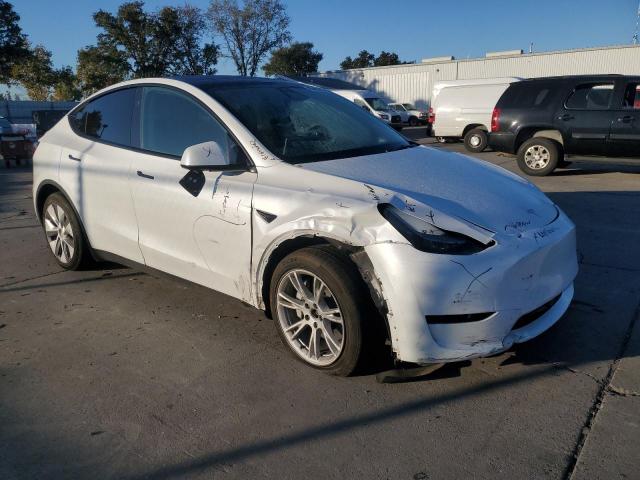 Tesla Model Y Image 5