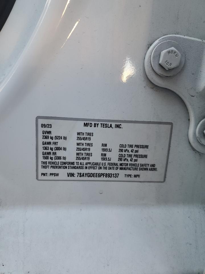 Tesla Model Y Image 12