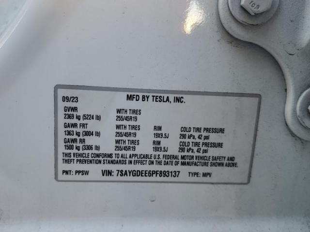 Tesla Model Y Image 12
